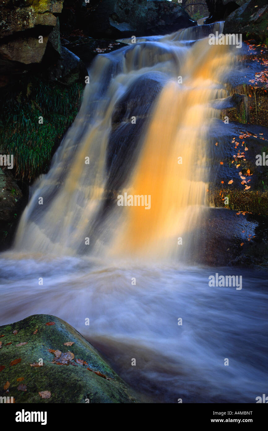 Wasserfall im Valley of Desolation, Wharfedale, Yorkshire Dales National Park Stockfoto