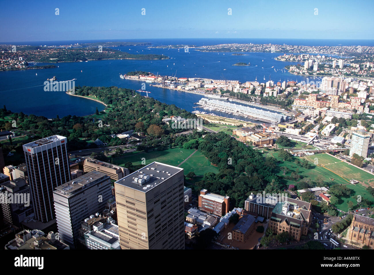 Blick über Sydney von der Spitze des Sydney Tower. Stockfoto