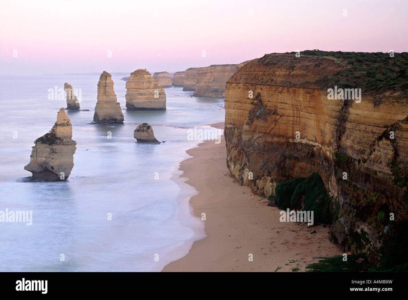 Die zwölf Apostel im Morgengrauen entlang der Great Ocean Road in Victoria Australien. Stockfoto