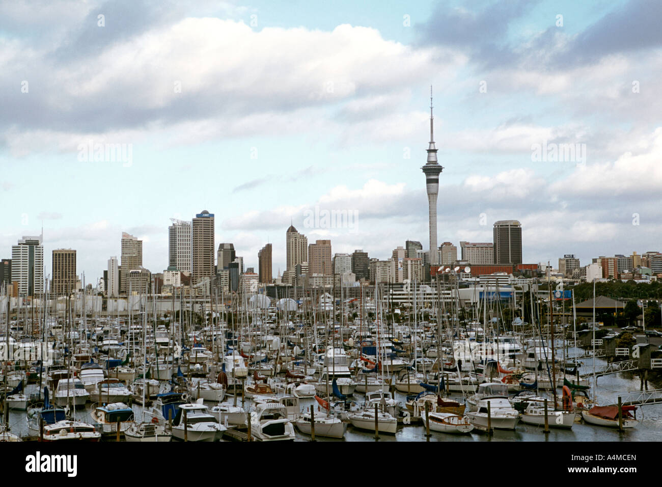 Die Auckland CBD über die Marina in Neuseeland gesehen. Stockfoto