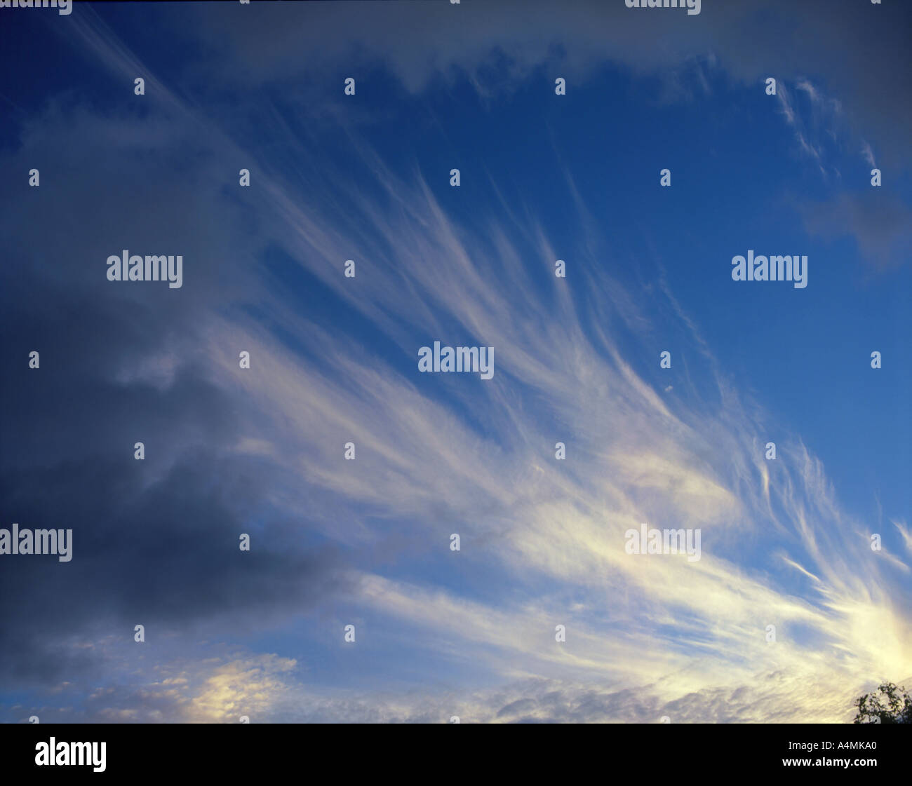 Abendhimmel mit Cirrus Cloud vorgestellt.  Dramatische dunkelblauen Himmel mit einigen schattigen Luž Wolken unter den Strahlen der Sonne Stockfoto