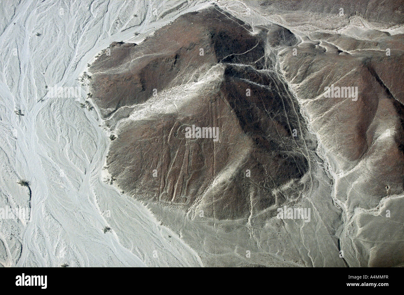 Die Nazca-Linien: hier der Astronaut (Ica - Peru). Géoglyphes de Nazca: l'astronaute (Ica - Pérou). Stockfoto