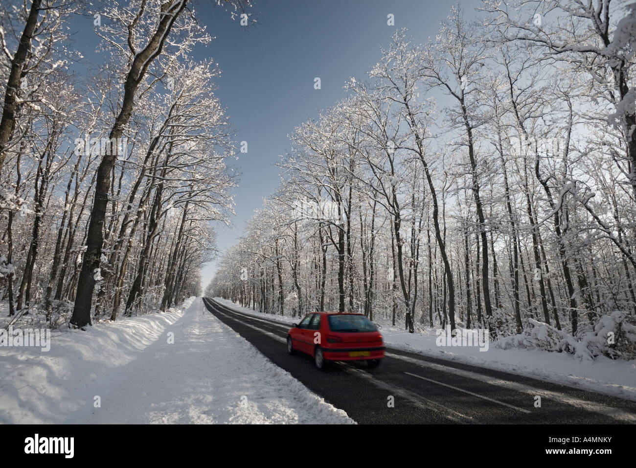 Ein rotes Auto auf einer schwarzen und weißen Straße (Allier-Frankreich). Voiture Rouge Sur Route Enneigée (Allier-Frankreich). Stockfoto