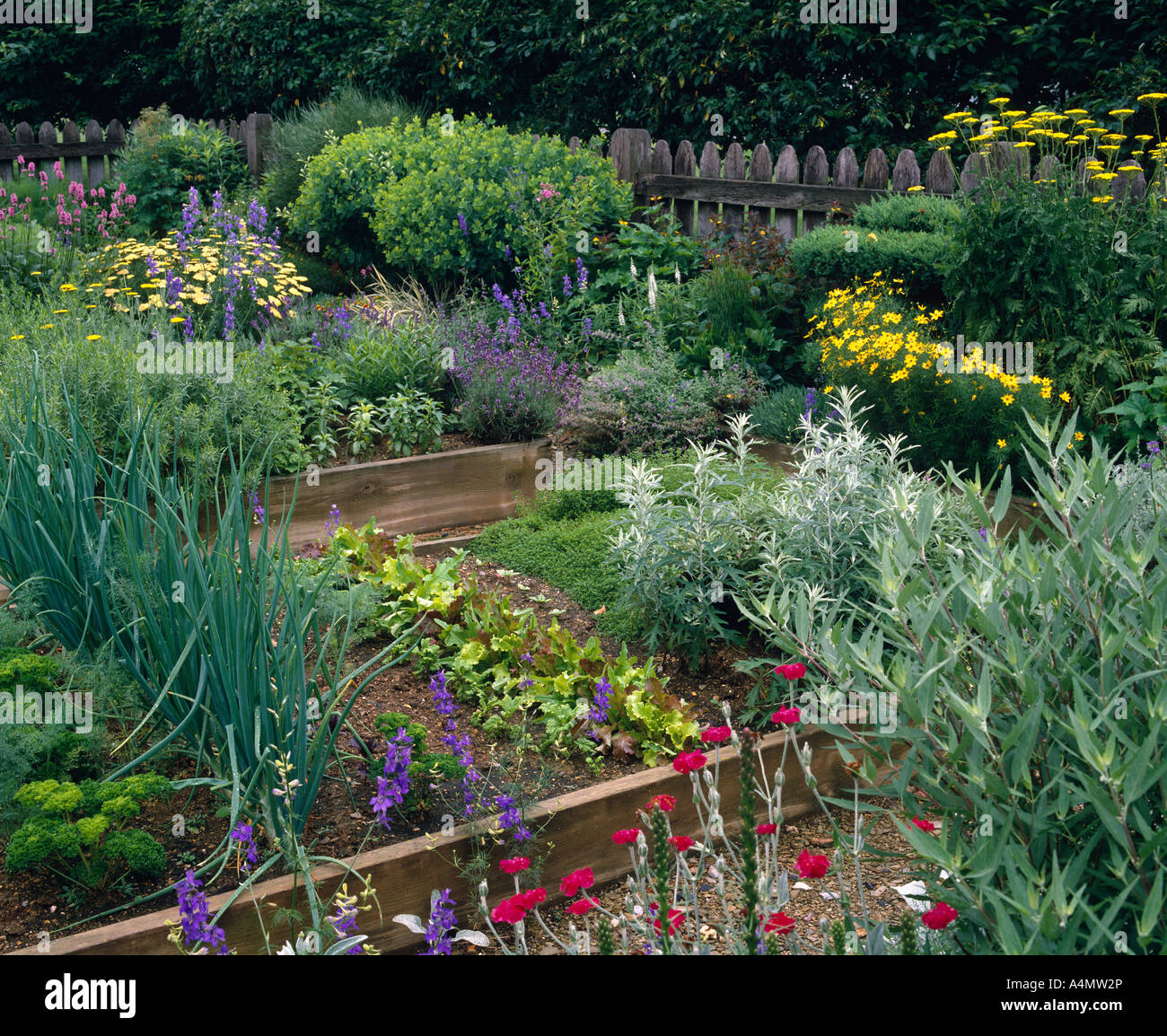 EINGEZÄUNT, ERHÖHTEN BETT GARTEN MIT STAUDEN, KRÄUTERN UND GEMÜSE WACHSEN / PENNSYLVANIA Stockfoto