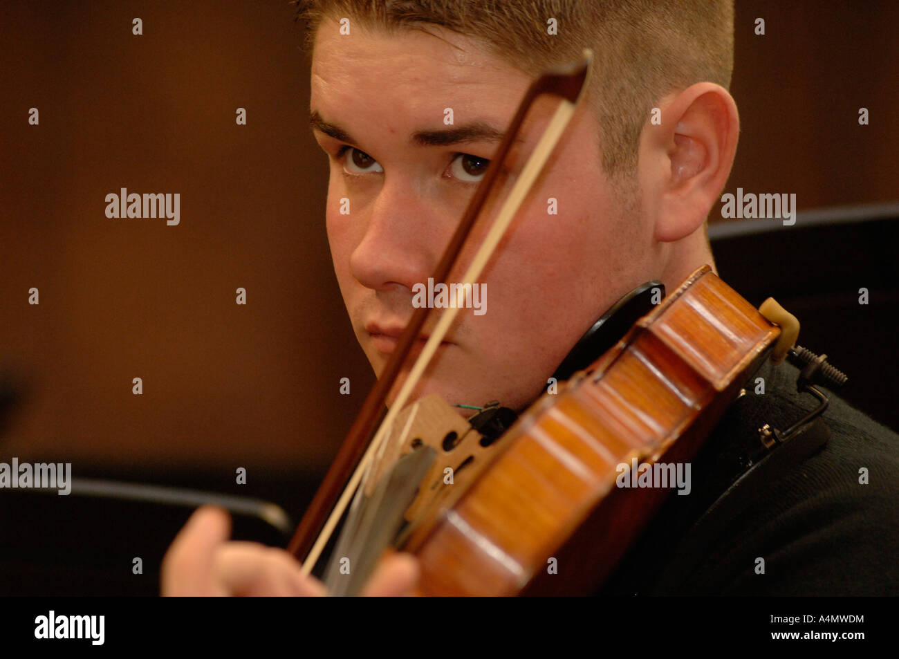 Eine Geige als Teil von einem kleinen Orchester gespielt wird. Stockfoto