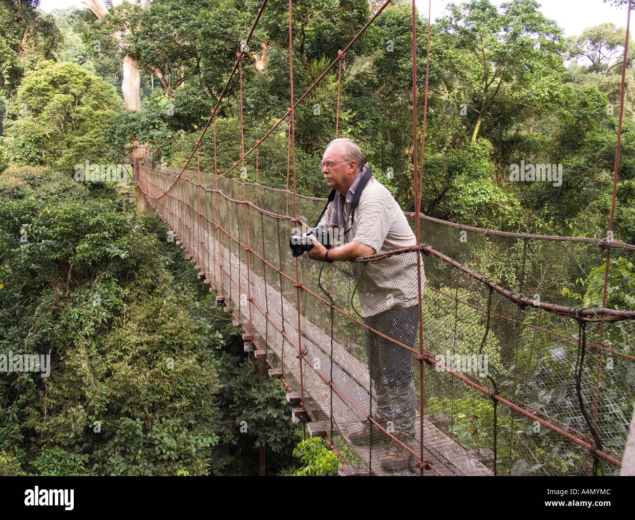 Malaysia Borneo Sabah Danum Valley Tourist auf Regenwald Treetop walkway Stockfoto