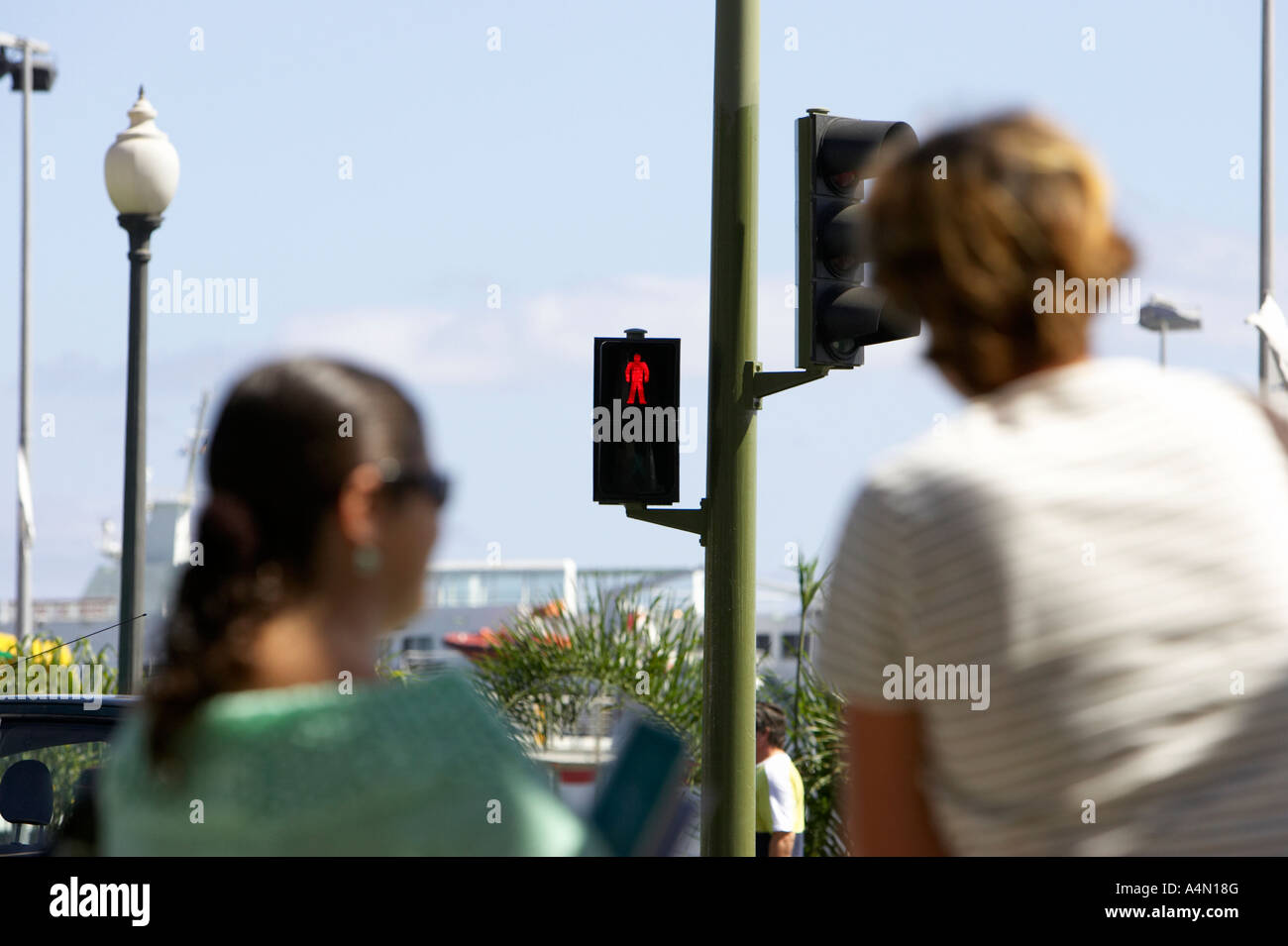zwei weibliche Fußgänger warten auf rot stop Lichtsignal an Verkehr Kreuzung, überqueren Sie die Straße Santa Cruz De Tenerife Stockfoto