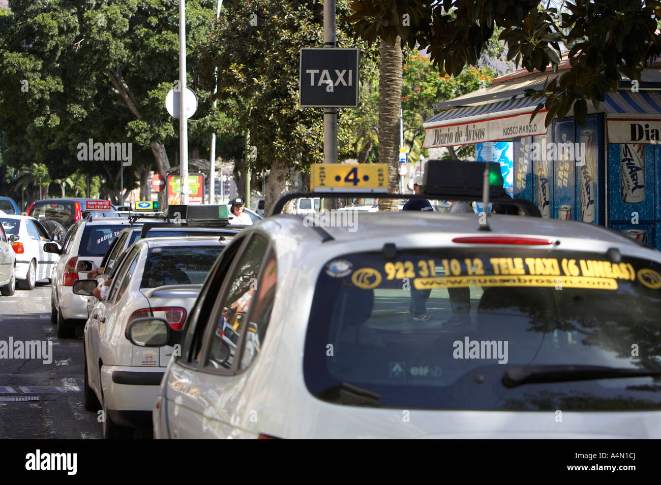 Warteschlange des weißen Taxis warten am Taxistand befindet sich in Santa Cruz De Tenerife-Kanarische Inseln-Spanien Stockfoto