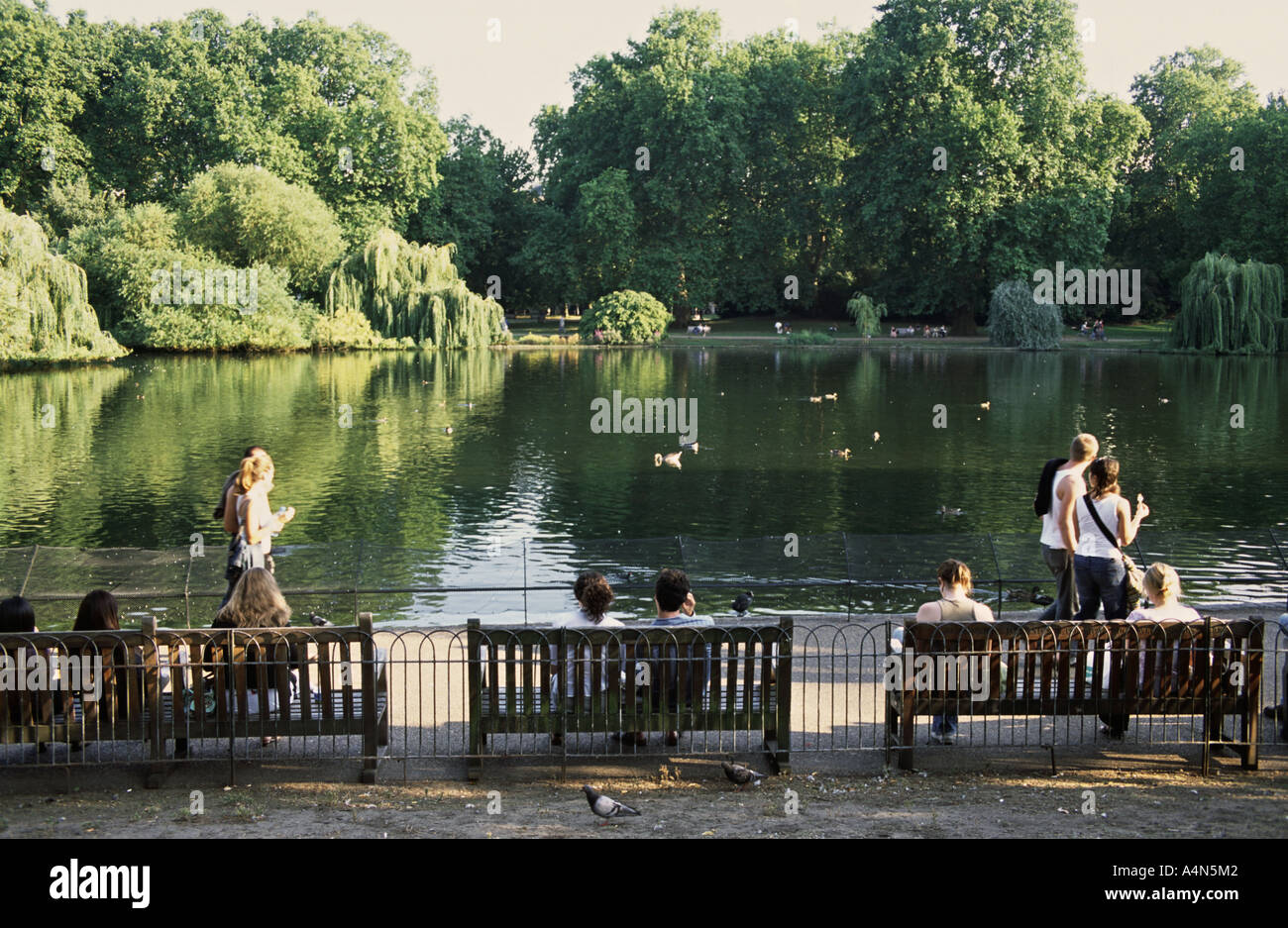 UK ENGLAND LONDON Saint James s Park in Westminster Stockfoto