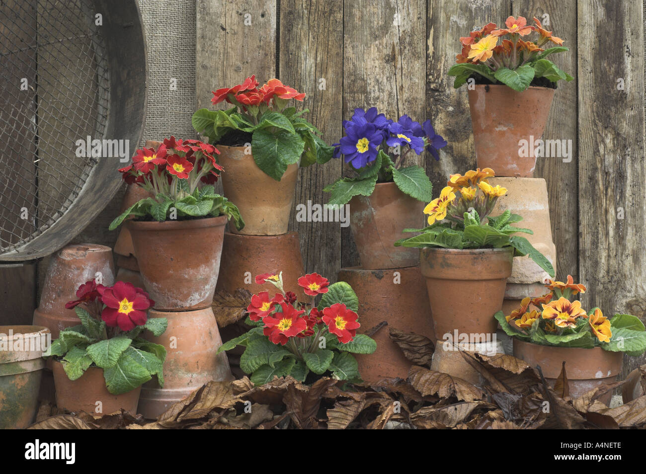 Lhjgvog yrdx ouyg Stockfoto