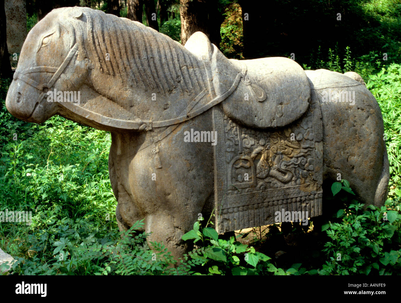 Geist Weg Stein Pferd Schnitzen in Qufu in China die angestammte Heimat der Konfuzius-clan Stockfoto