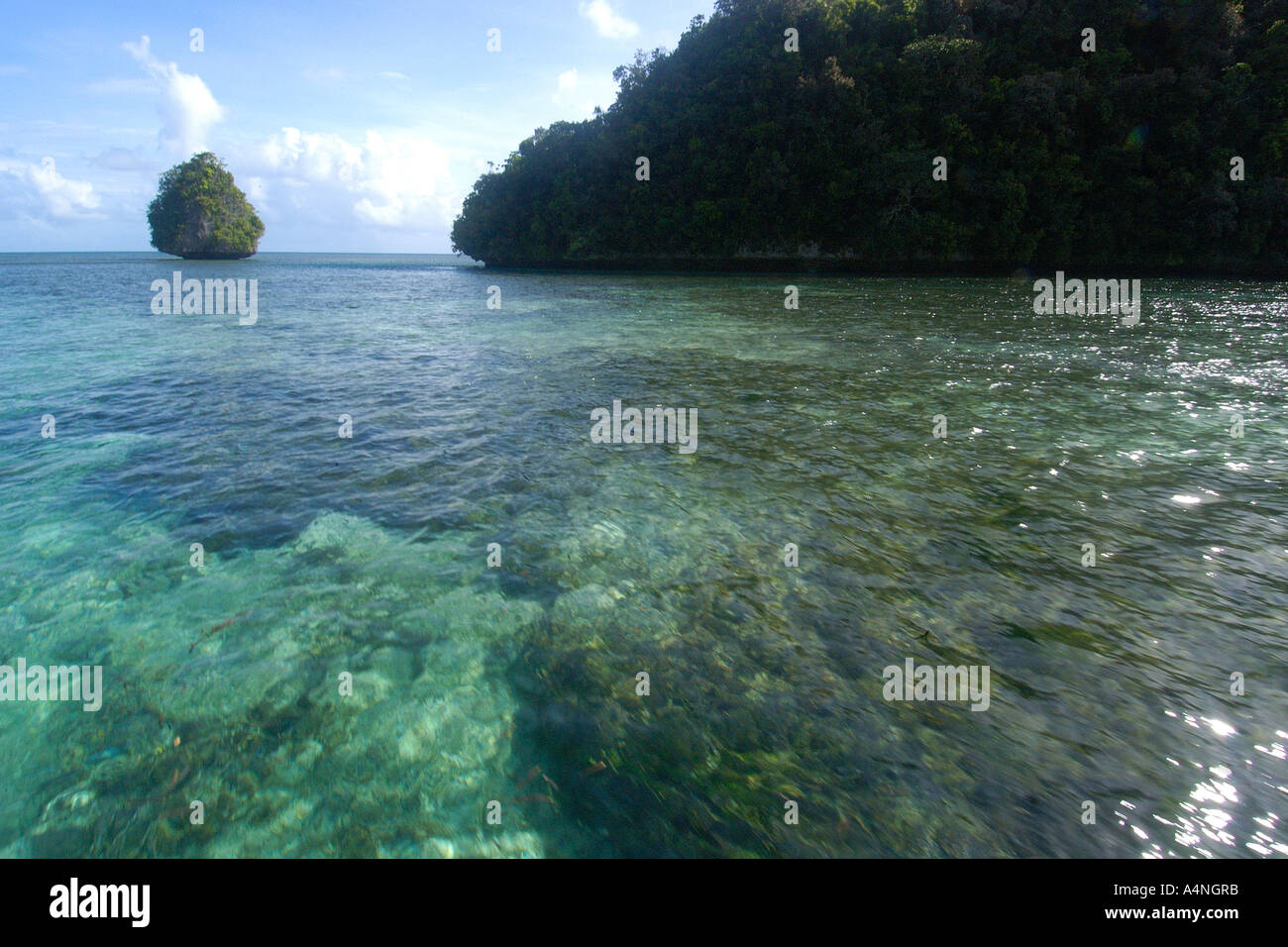 Felsinseln und flache Korallen Lagune Palau Mikronesien Stockfoto