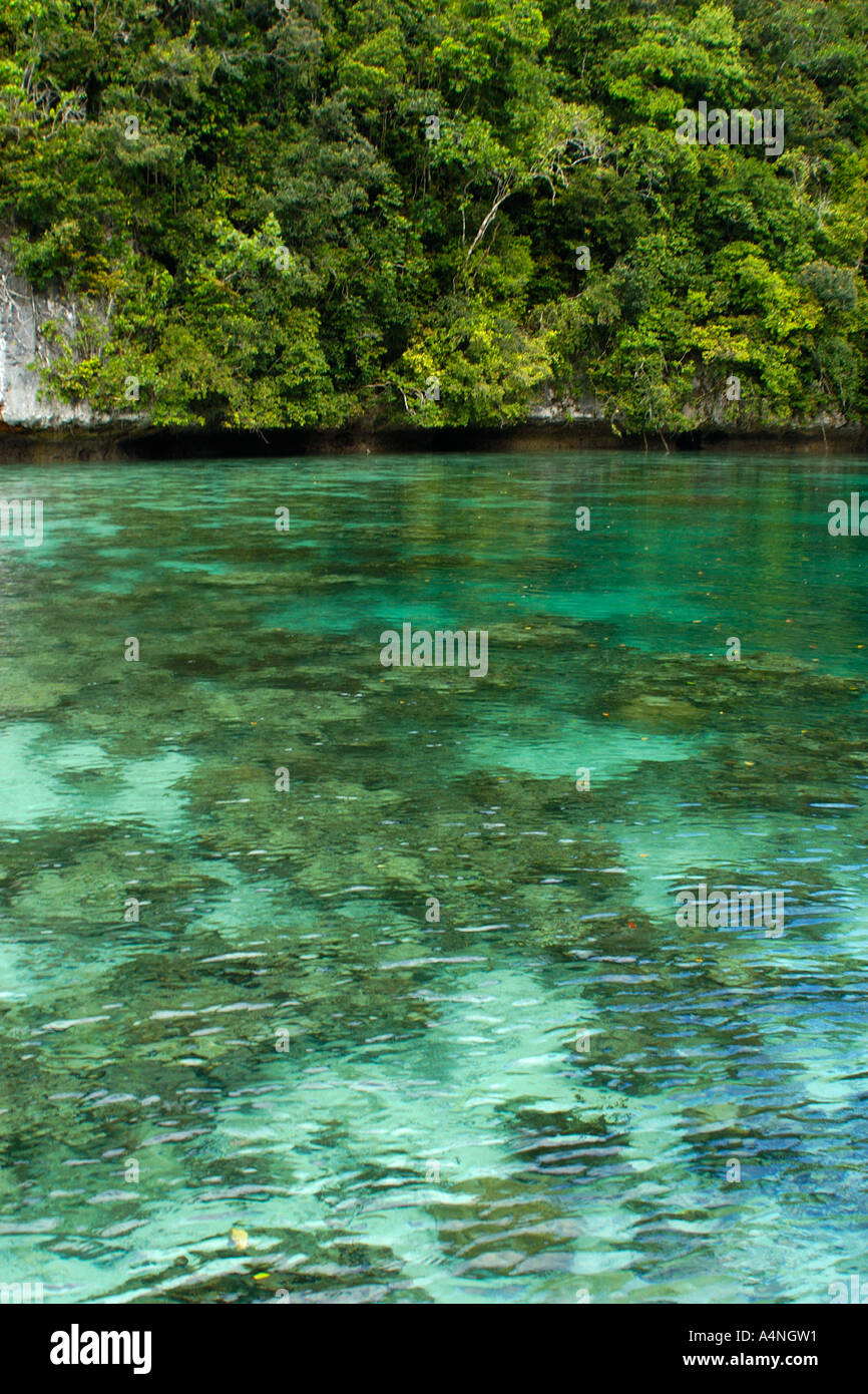 Disneylake, eine flache Korallen Lagune Palau Mikronesien Stockfoto