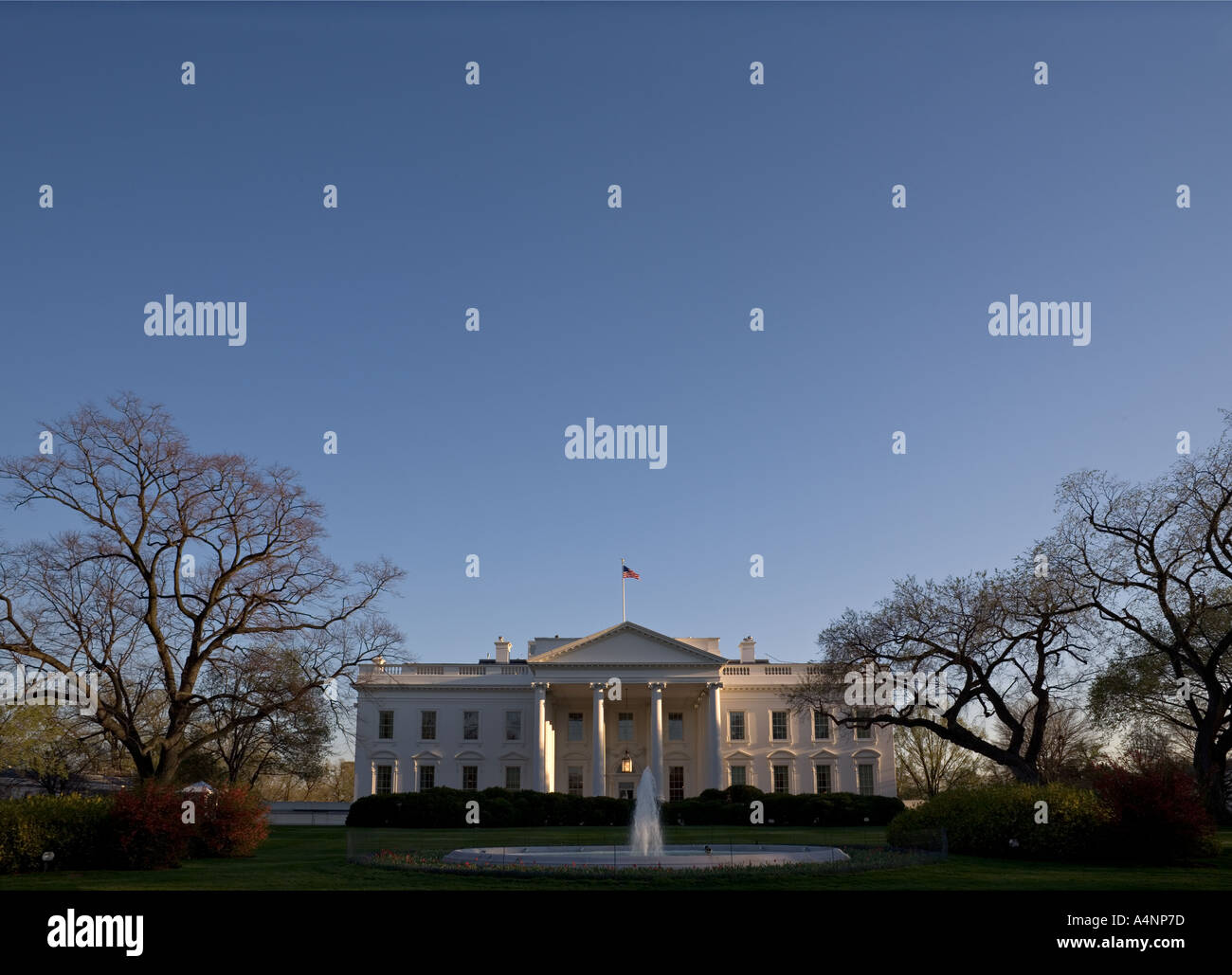 Das weiße Haus 1600 Pennsylvania Avenue im zeitigen Frühjahr Stockfoto