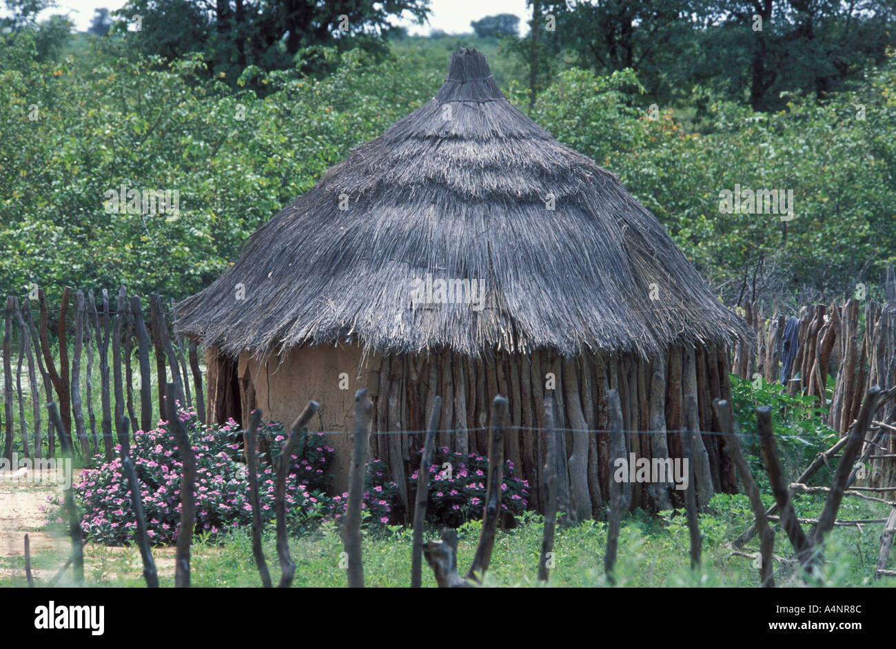 Typische Hütte Wohnung der Ovambo Stammes Menschen Ovamboland Namibia Afrika Stockfoto