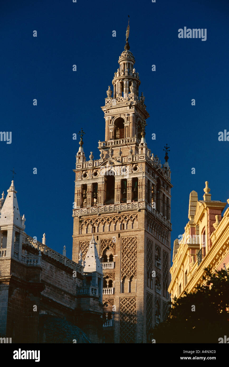 Die Giralda berühmte Minarett und Informationsstelle der Mauren aus dem 12. Jahrhundert-Sevilla-Sevilla-Andalusien-Andalusien-Spanien Stockfoto