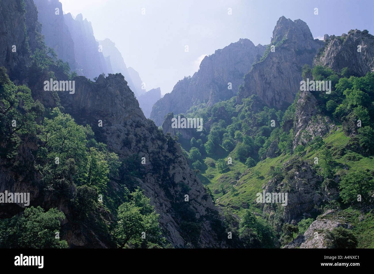 Berge und Hochtäler der Seite kümmert sich Schlucht Picos de Europa Kantabrien Spanien Europa Stockfoto