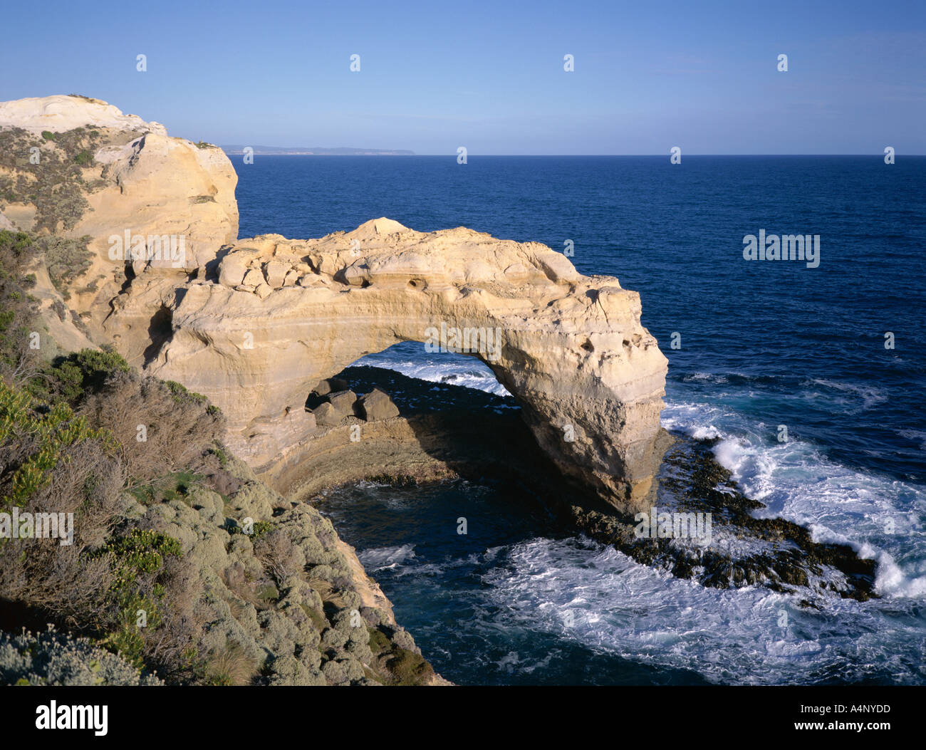 Erodierte Küsten Feature The Arch Port Campbell National Park großen Ocean Road Victoria Australien Pazifik Stockfoto