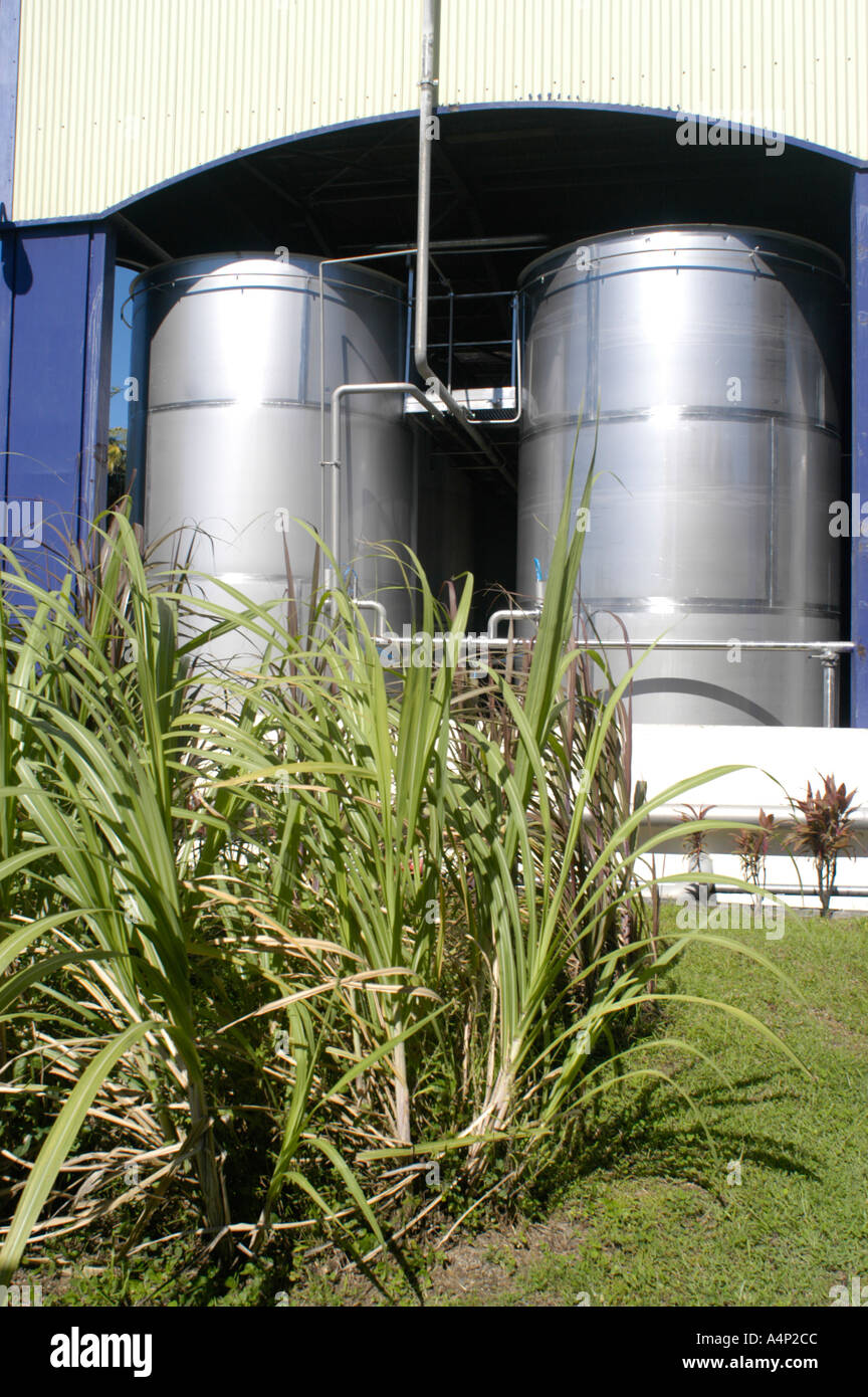 Depaz Rum Distillery auf Martinique in der Karibik Antillen Herstellung von Lagertanks und Abfüllanlage Stockfoto