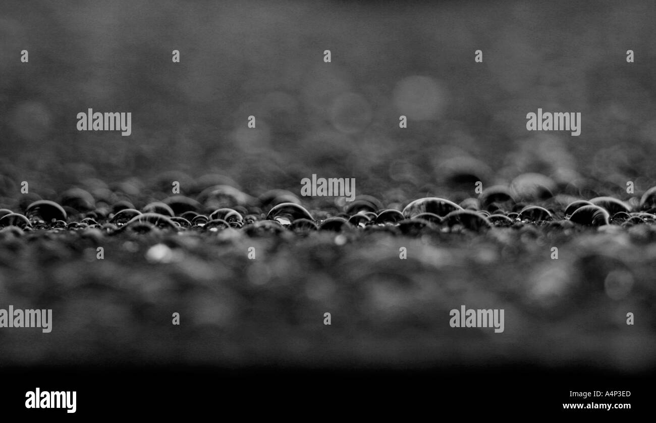 Schwarz / weiß abstrakt von Regentropfen auf Leinwand Sonnenschirm Fife Schottland Stockfoto