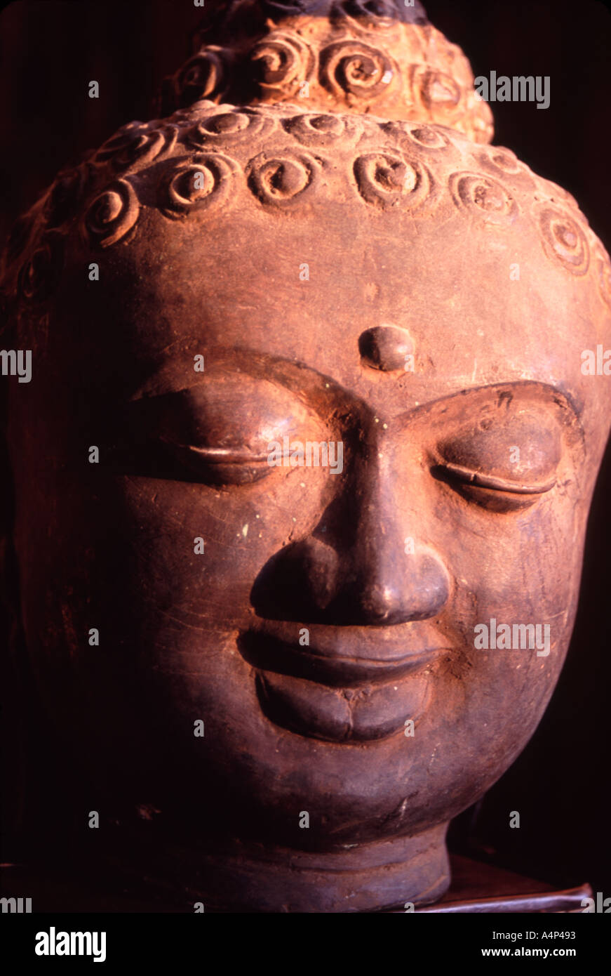 Buddha-Kopf Stockfoto