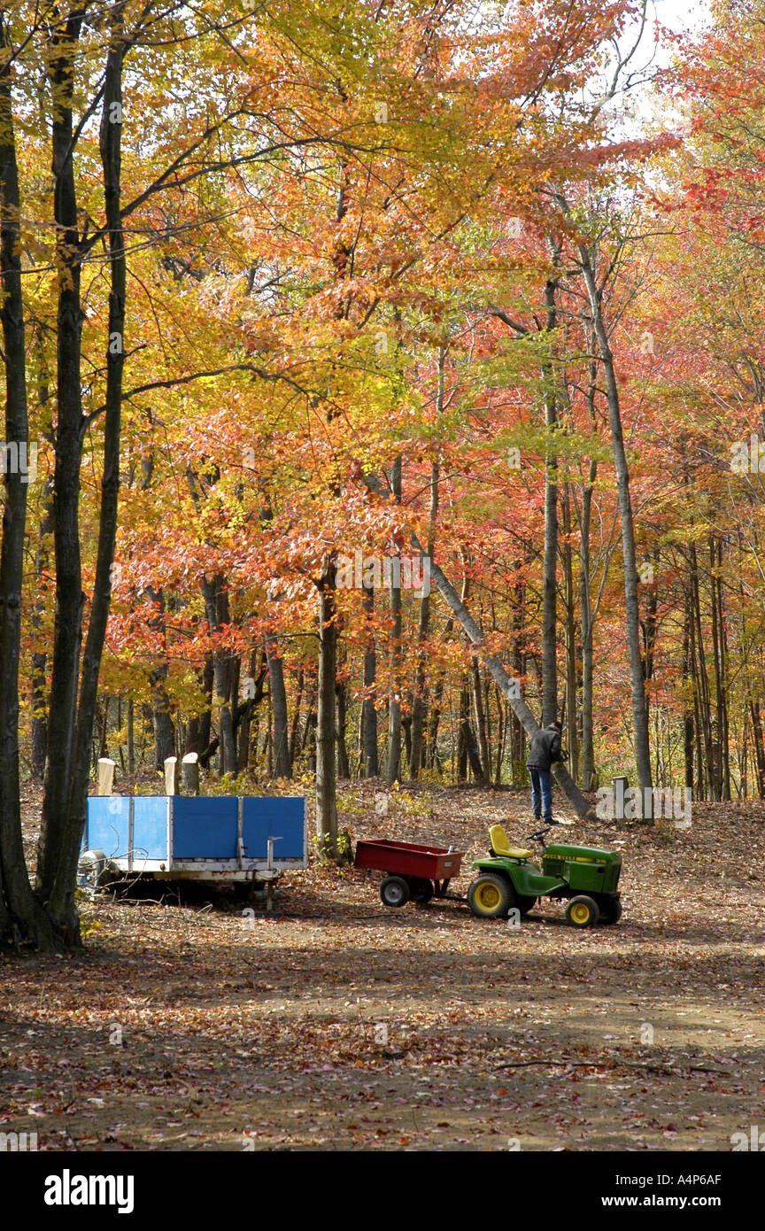 Michigan Herbst Farbe Glanz Stockfoto