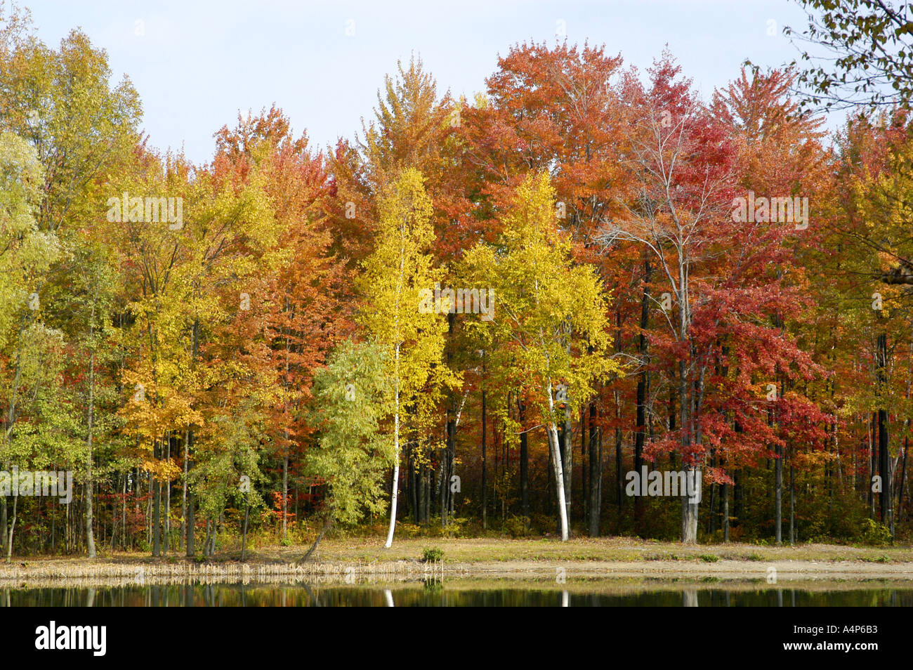 Michigan Herbst Farbe Glanz Stockfoto
