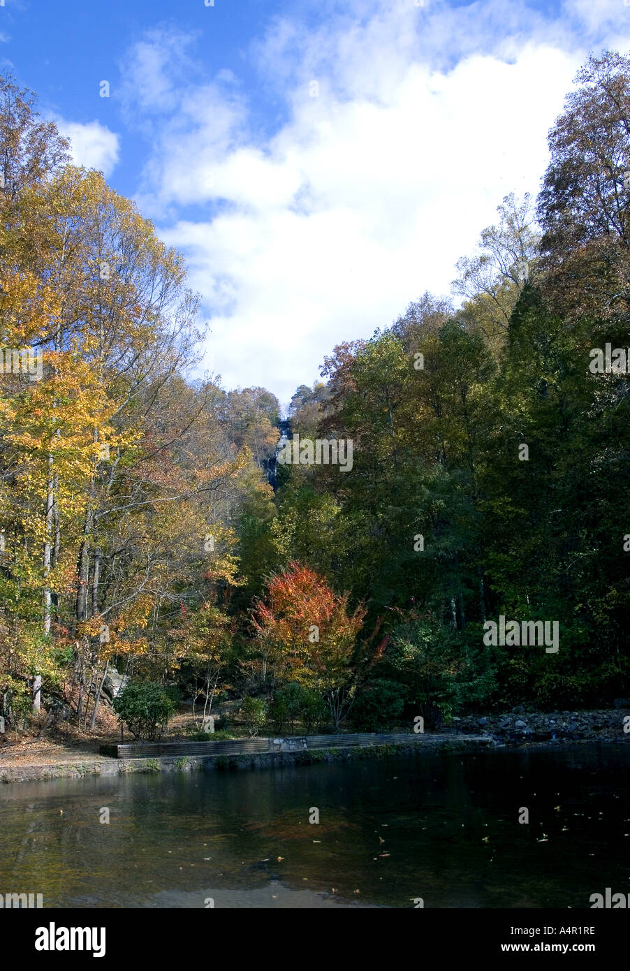 Amicalola Falls - Scenic Stockfoto