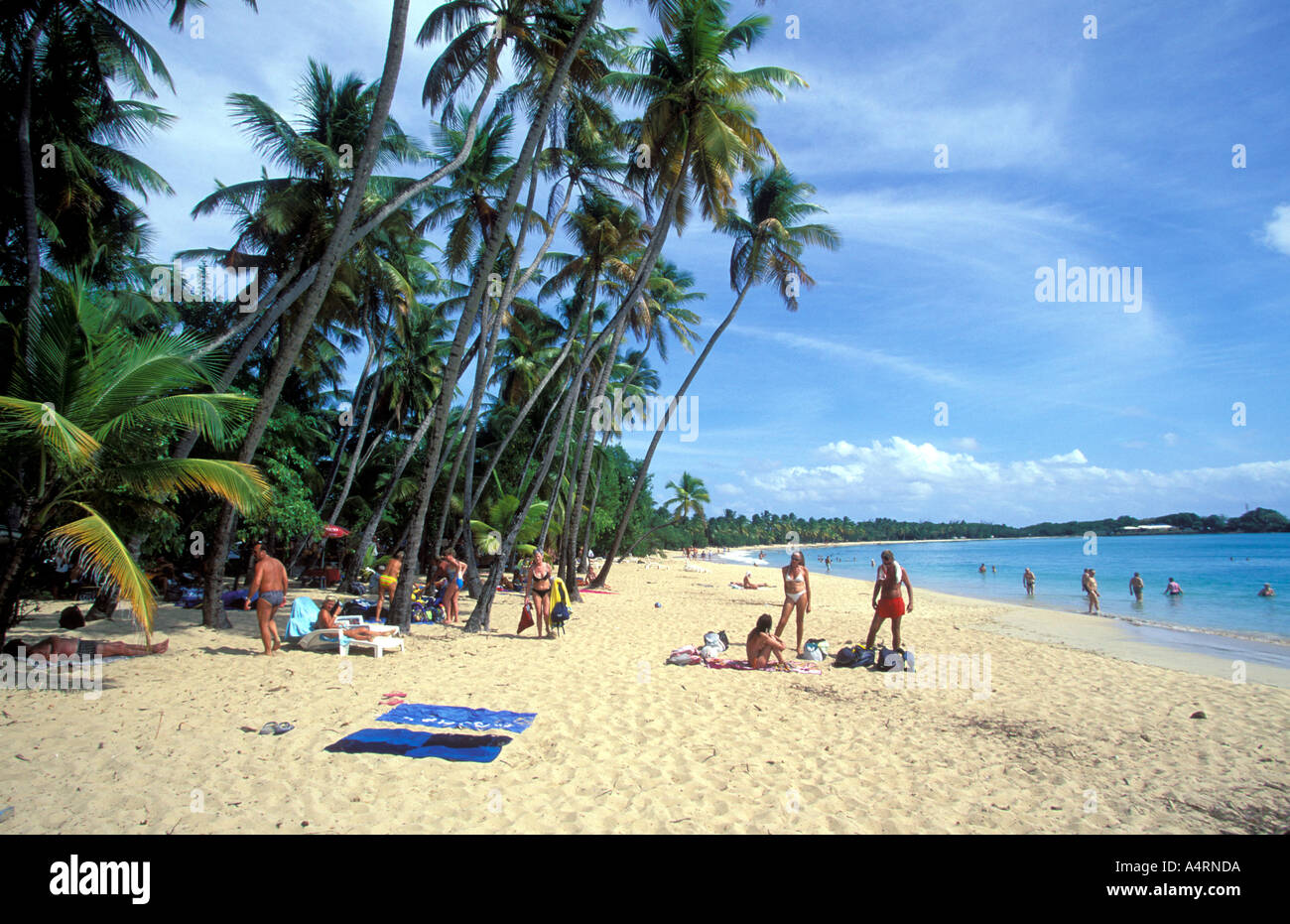Les Salines Strand In Der Nahe Von Sainte Anne Martinique Stockfotografie Alamy