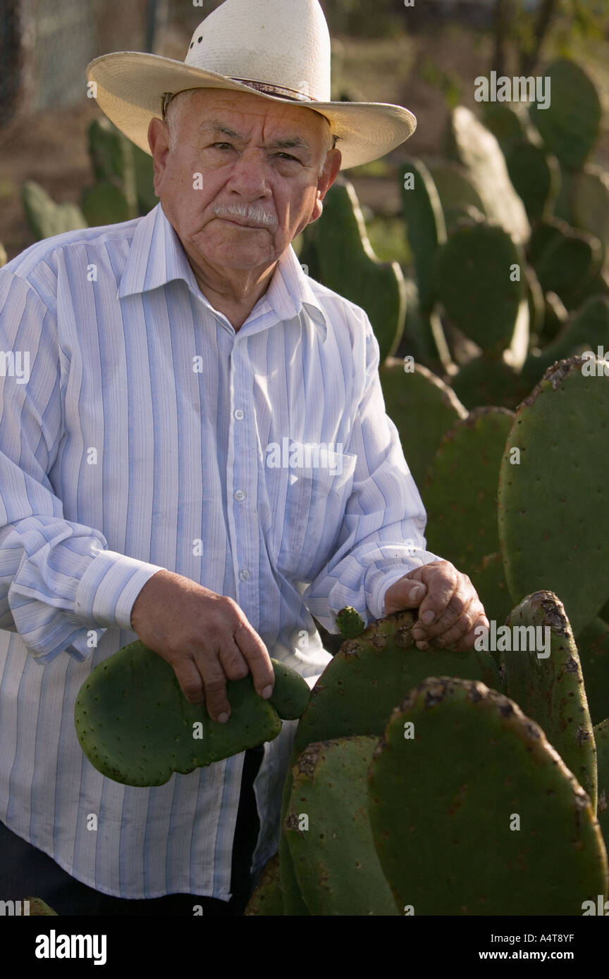 Nopales hut Fotos und Bildmaterial in hoher Auflösung Alamy