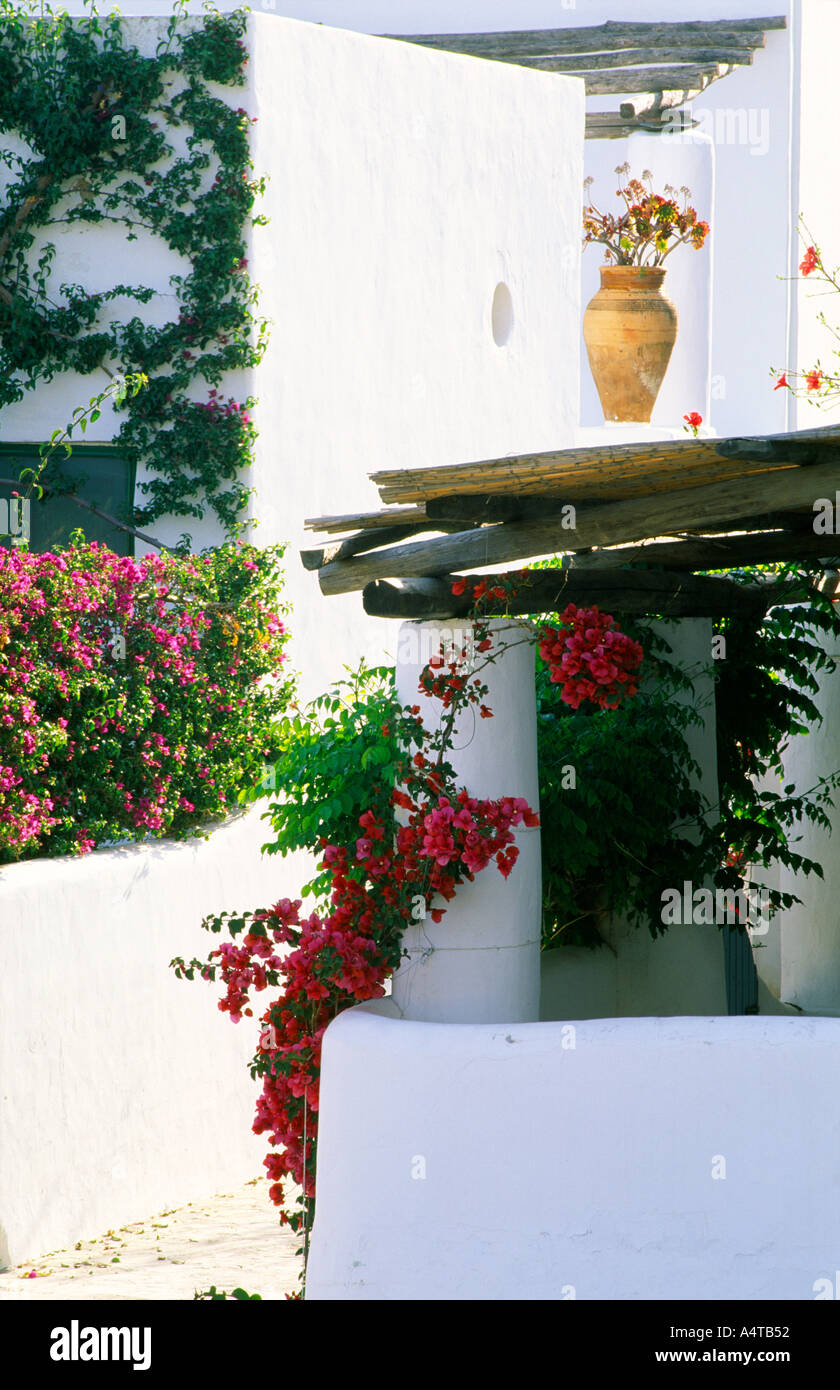 Typischen weiss gestrichenen Häusern bei Drauto auf der Äolischen Insel Panarea Italiens Stockfoto