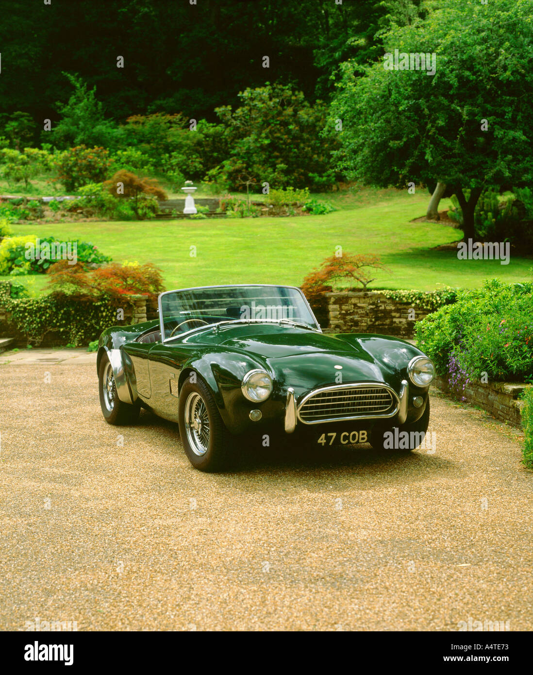 1964-AC Cobra Stockfoto