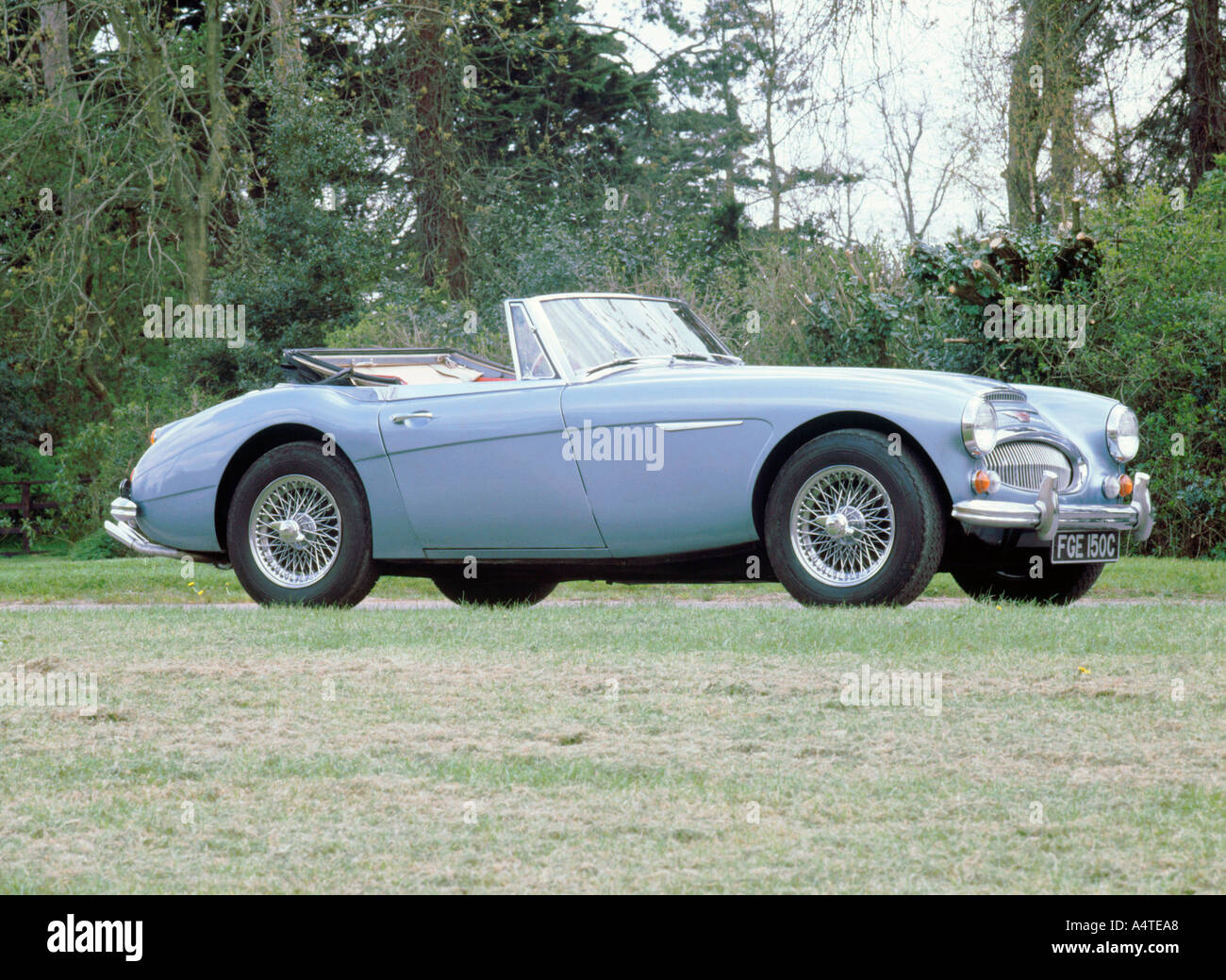 1965 Austin Healey 3000 mk3 Stockfoto