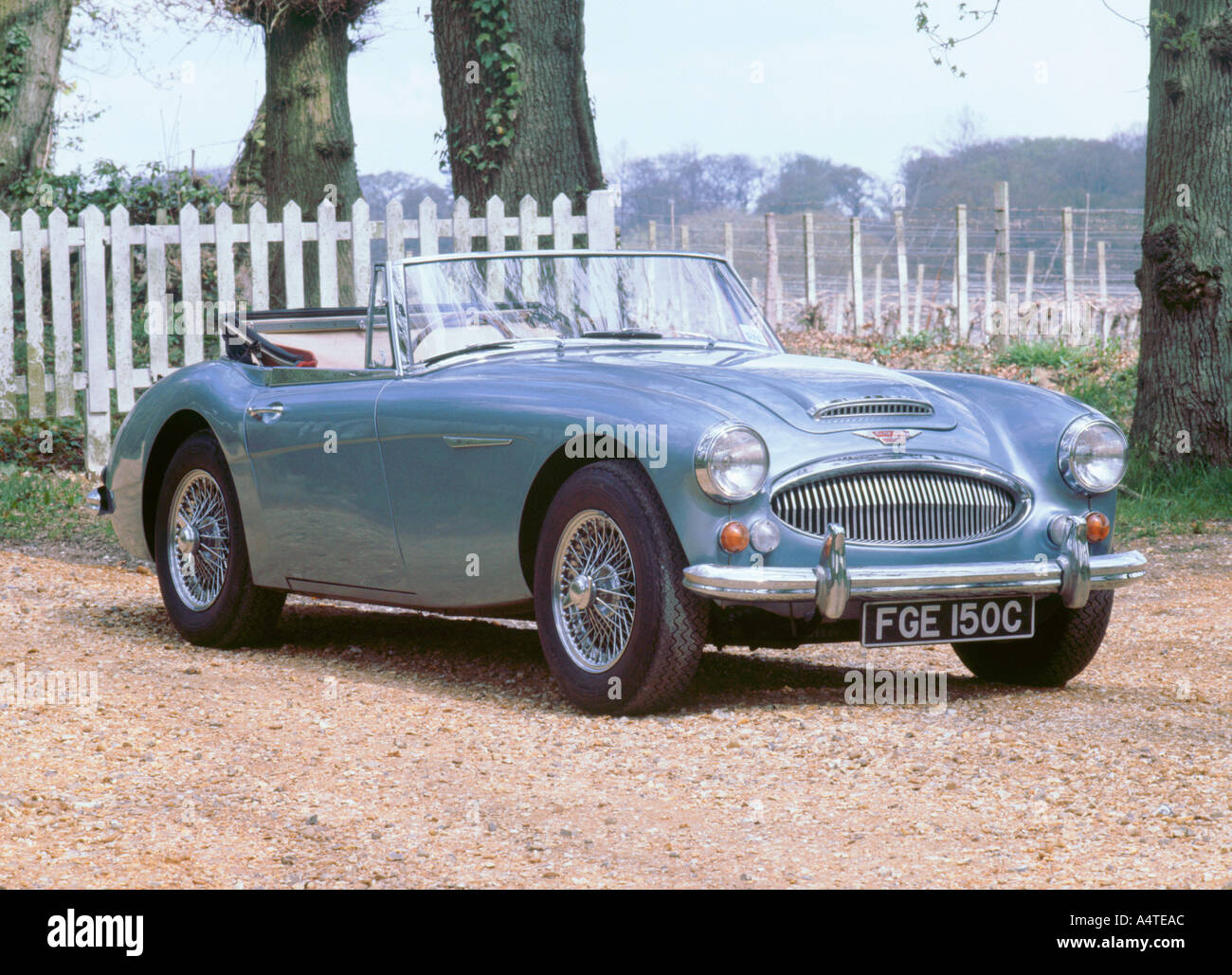 1965 Austin Healey 3000 mk3 Stockfoto