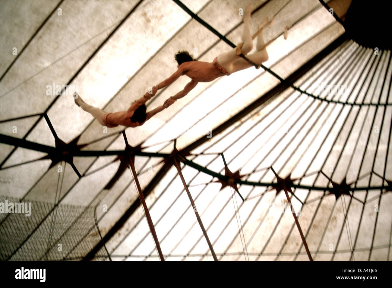 Trapezkünstlern im Zirkus Stockfoto