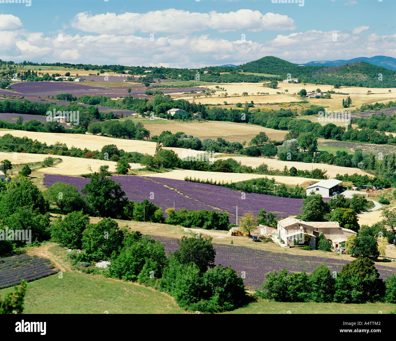 Parc naturel luberon Fotos und Bildmaterial in hoher Auflösung Alamy