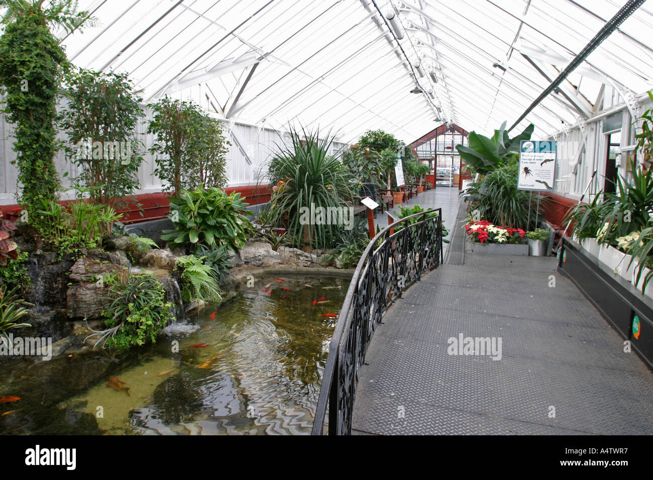 Queens Park Gewächshaus und Garten Glasgow Schottland UK Stockfoto