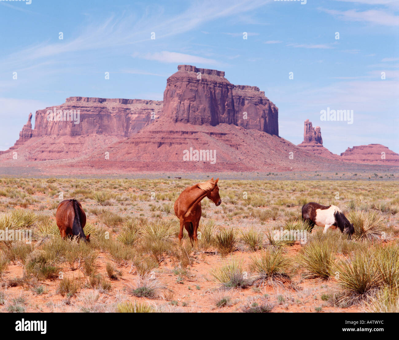 USA ARIZONA MONUMENT VALLEY Stockfoto