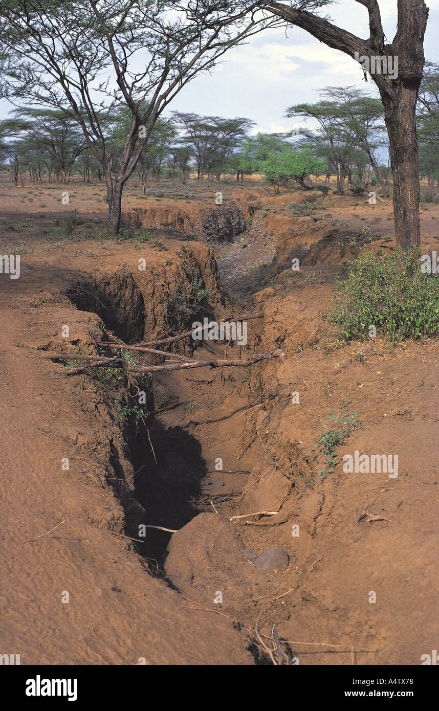 Wasserrinne-Erosion in der Nähe von Marigat Kenia in Ostafrika Stockfoto