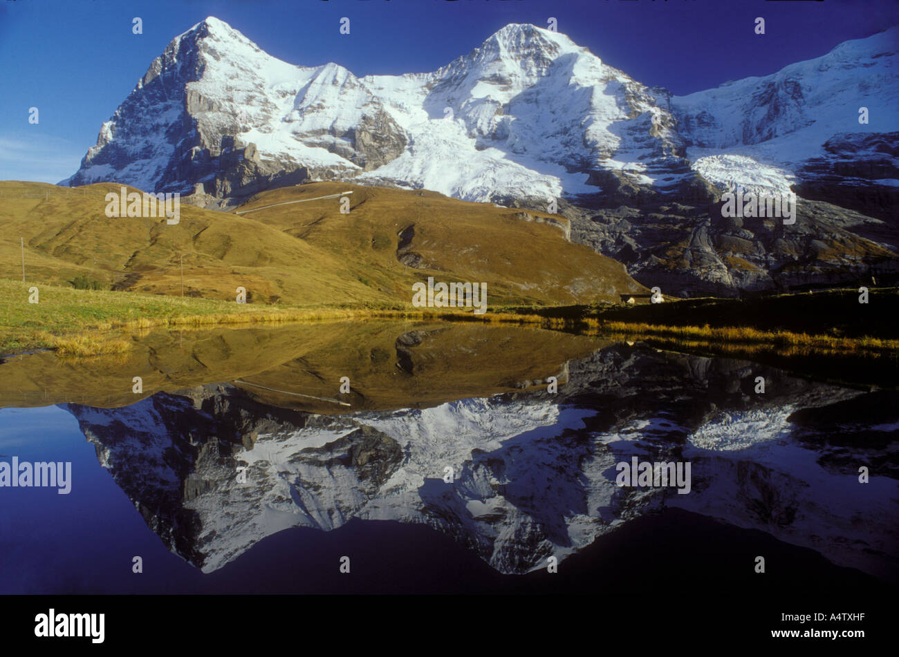 Mtns. Eiger und Mönch, Berner Alpen der Schweiz Stockfoto