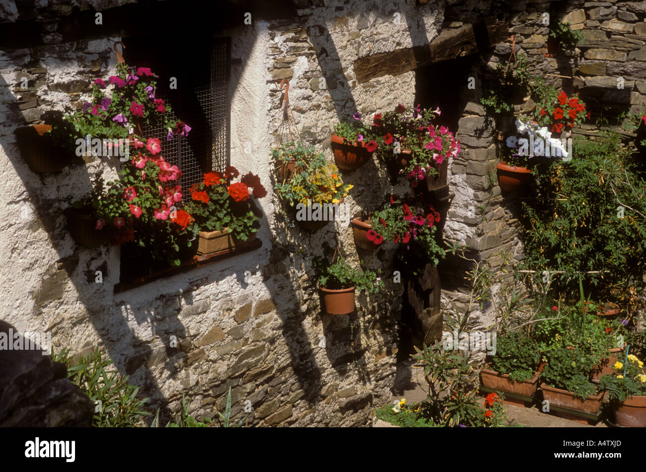 Blumen schmücken Wiondows auf altes Steinhaus, Sogogna, Verzasca, Schweiz Stockfoto
