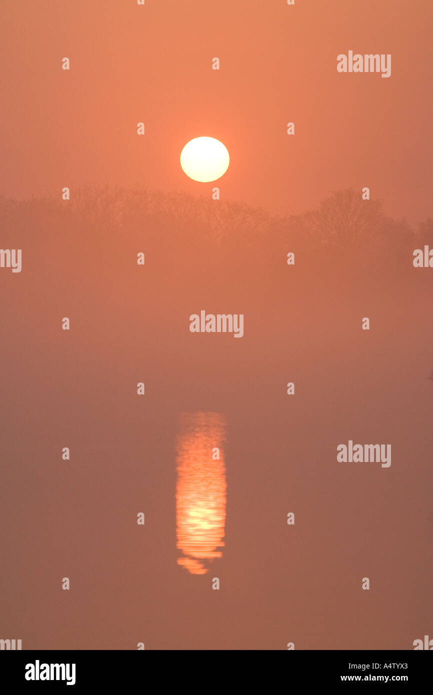 Misty Sonnenaufgang über Hickling Broad Norfolk UK Stockfoto