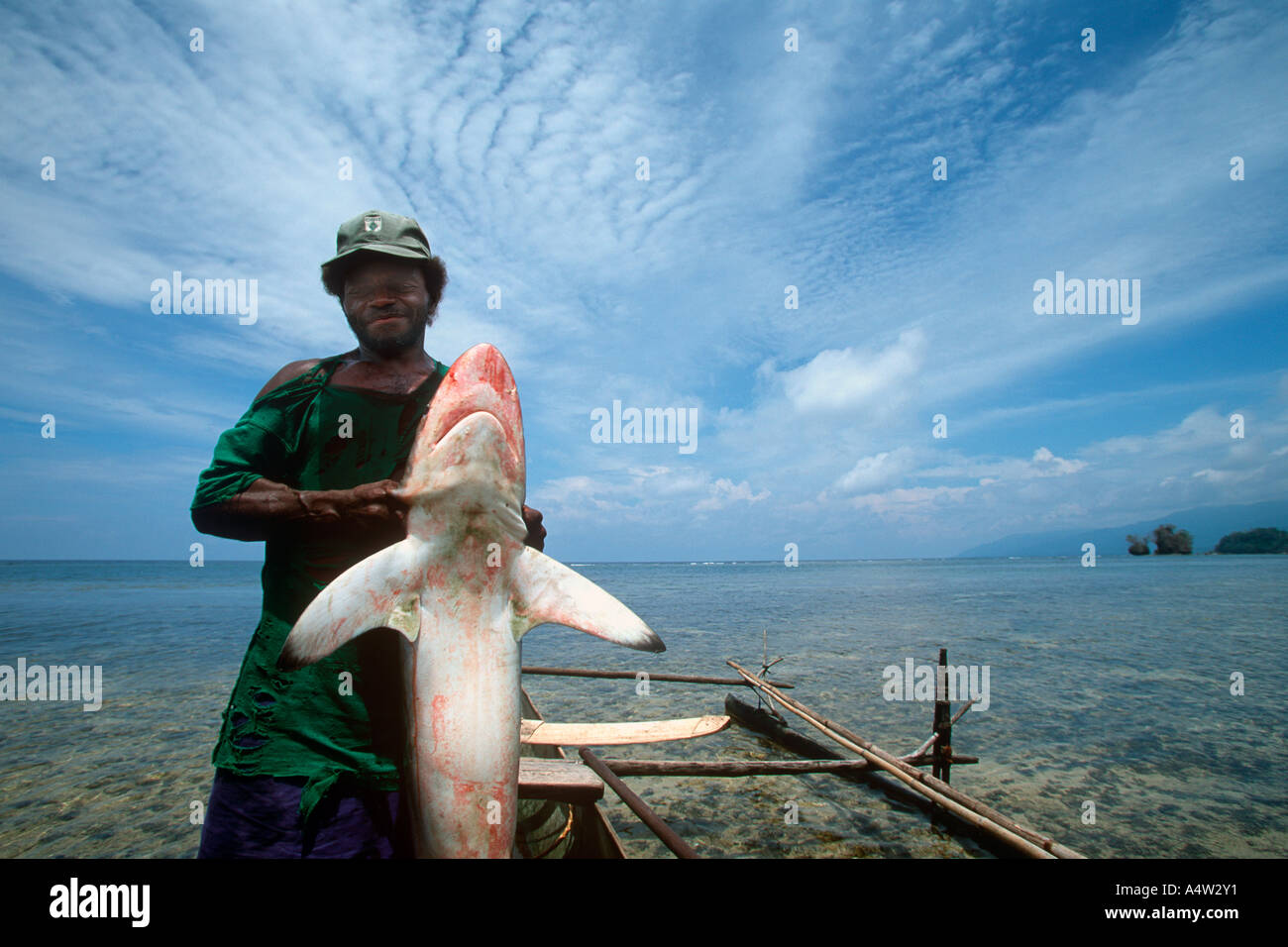 Ein Hai Anrufer aus Kontu Dorf an der Westküste Neuirland bringt ein Hai, die, den er gefangen Stockfoto