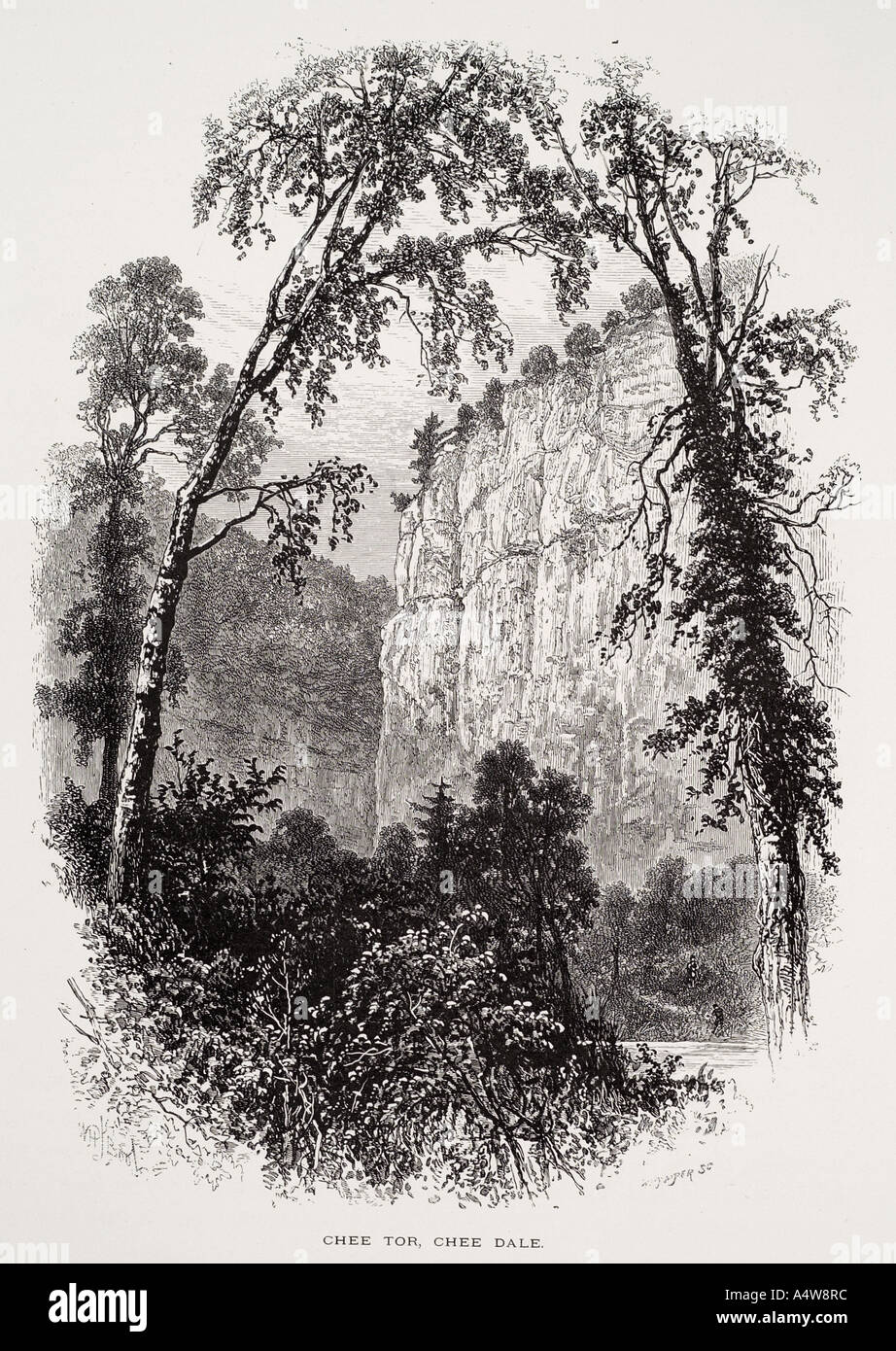 Chee Tor Dale Peak District Nationalpark Derbyshire Kalkstein Schlucht Fluss Wye weiß England UK United Kingdom GB Great Britain Stockfoto