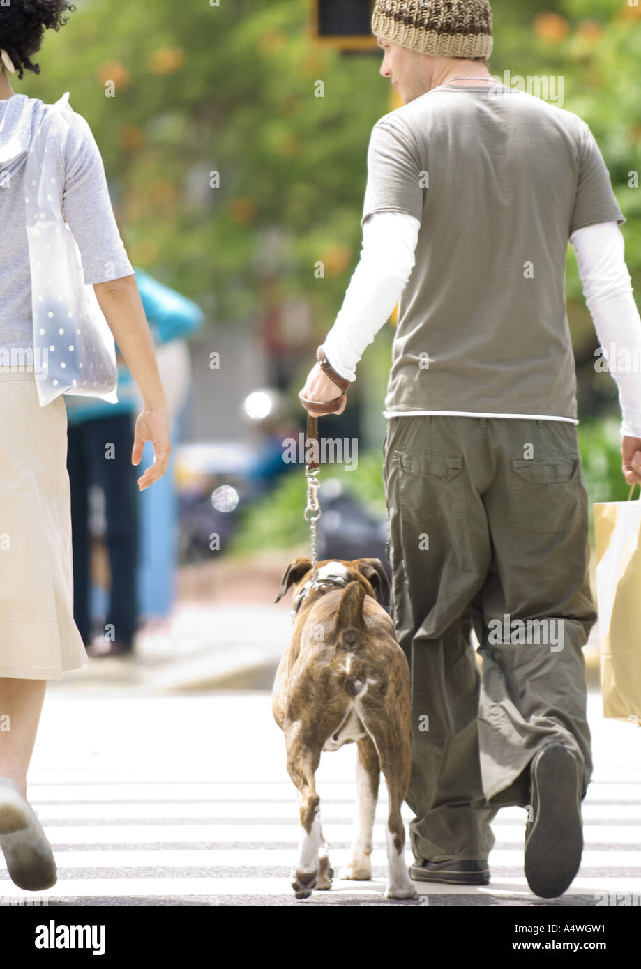 Junges Paar mit Hund Kreuzung Straße Stockfoto