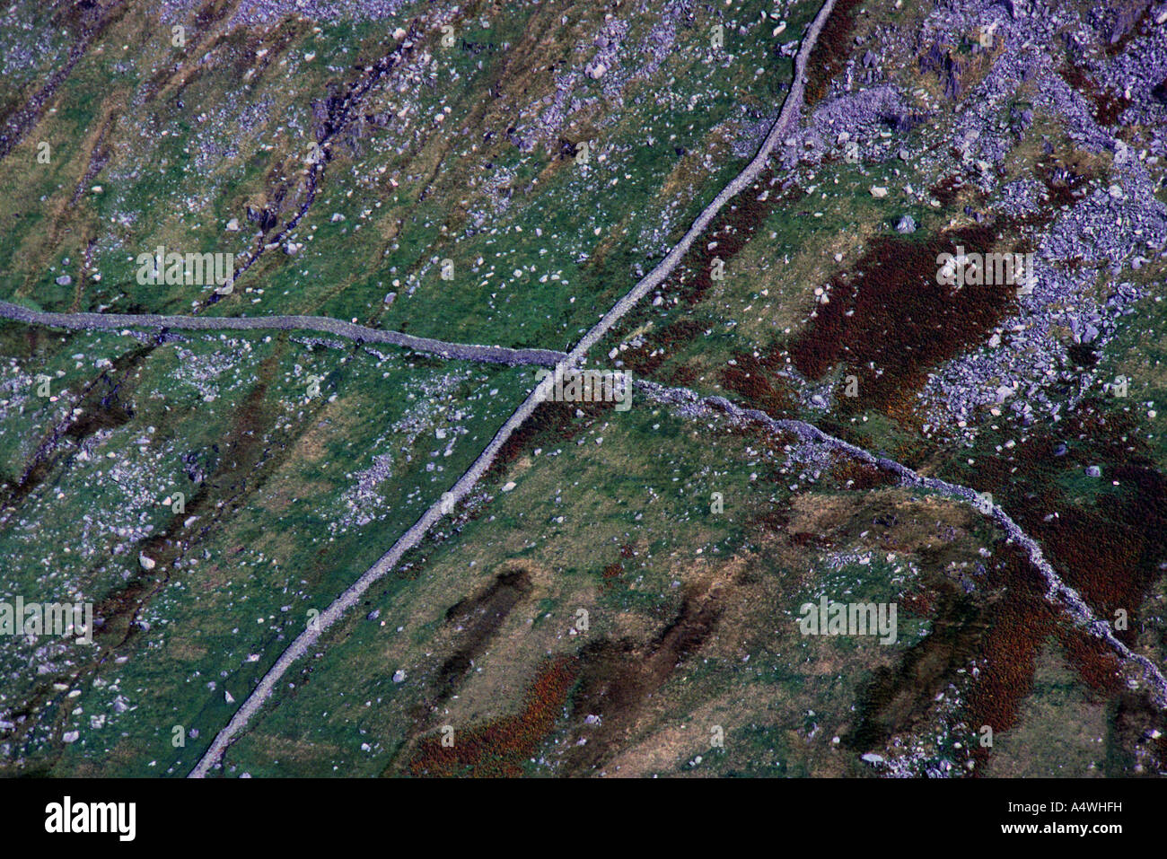 Trockenmauern. Rydale, Lake District National Park, Cumbria, England, Großbritannien, Europa. Stockfoto