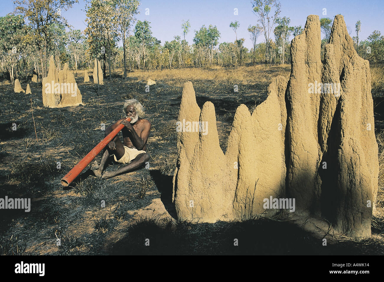 Ein Aborigine elder spielen Didgeridoo in Arnhemland Australien Stockfoto