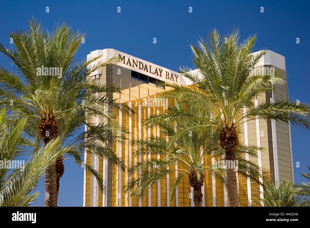 Mandalay Bay Hotel and Casino, Las Vegas, Nevada, Vereinigte Staaten Stockfoto