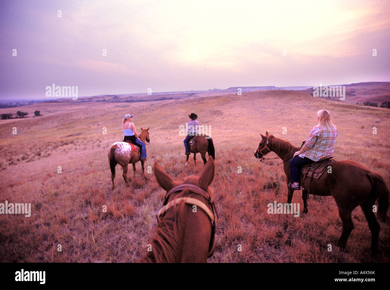 Reiter auf einer Ferienranch Knife River Ranch North Dakota Stockfoto