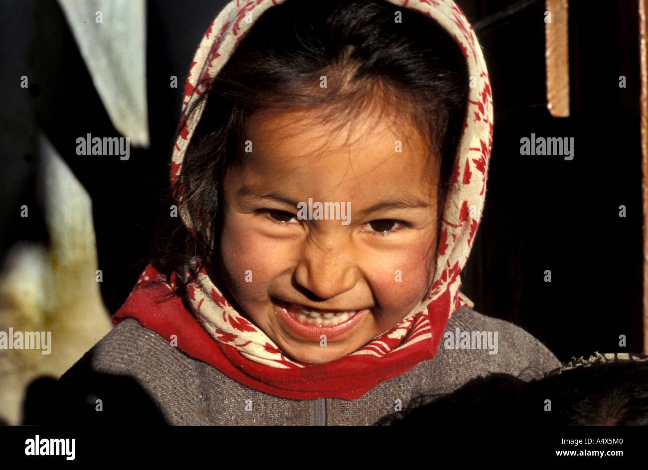 Junges Mädchen Leh Ladakh Stockfoto